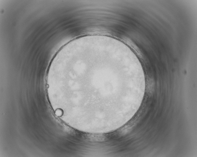 X0000086000856200704201829