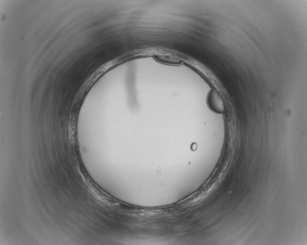 X0000086000857200704201829