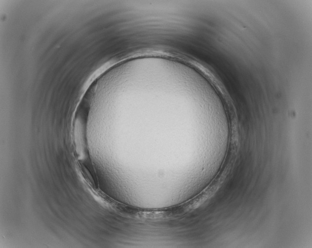 X0000086000858200704201829