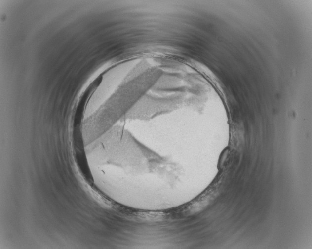 X0000086000859200704201830