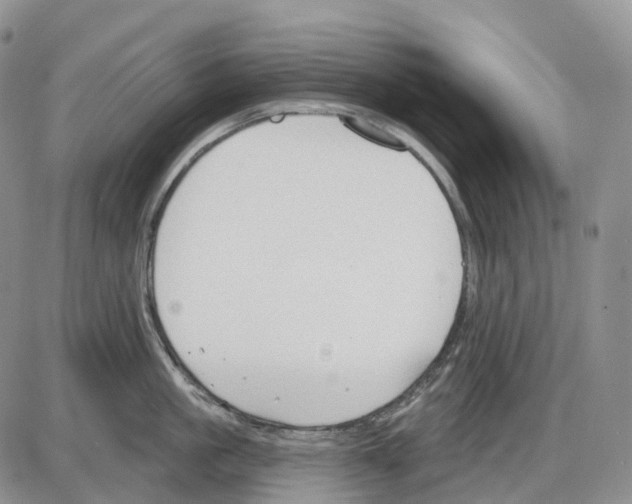 X0000086000861200704201830