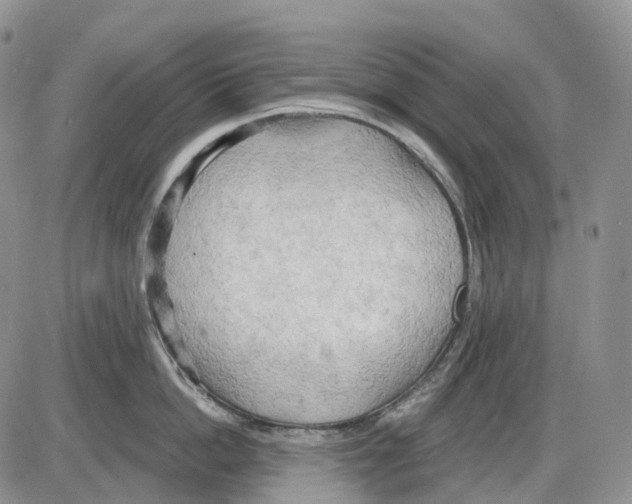 X0000086000862200704201830