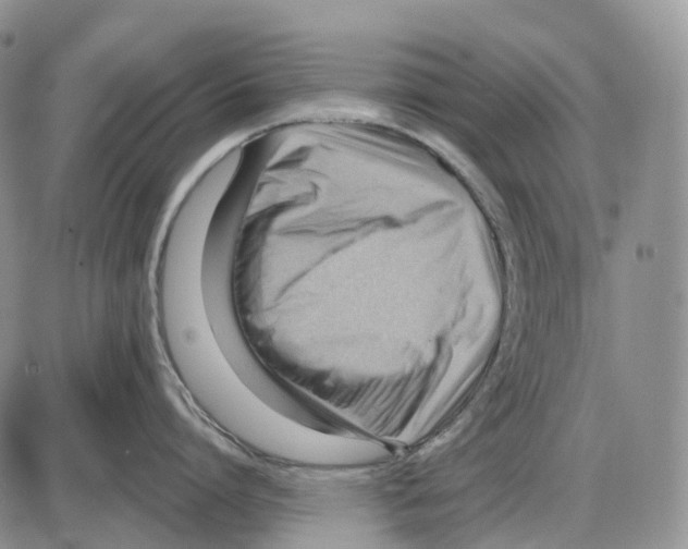 X0000086000864200704201830