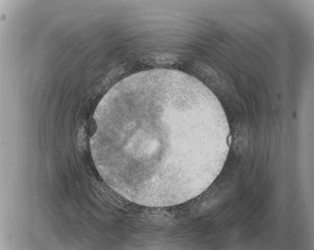 X0000086000866200704201829