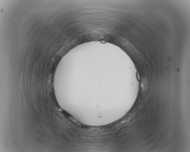 X0000086000867200704201829