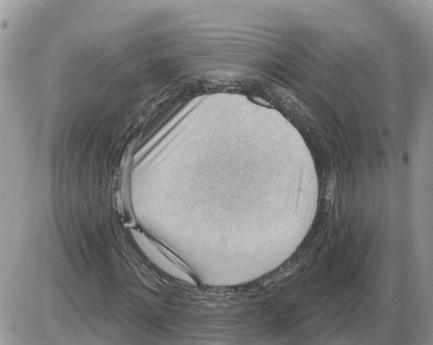 X0000086000868200704201829