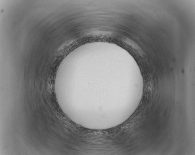 X0000086000869200704201829