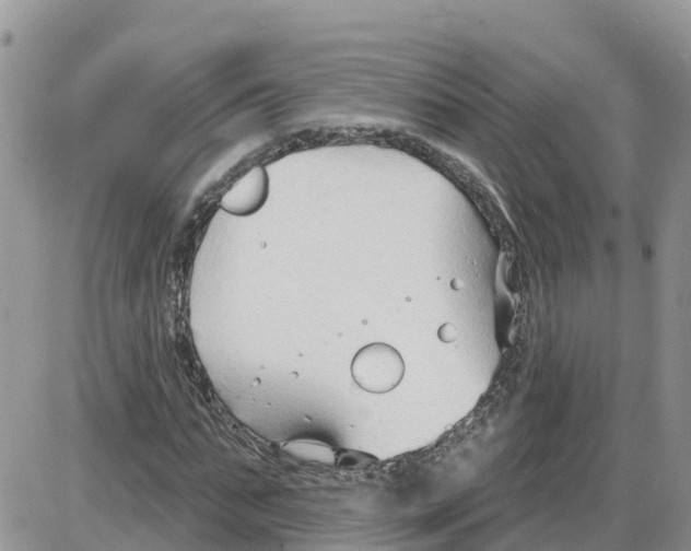 X0000086000871200704201829