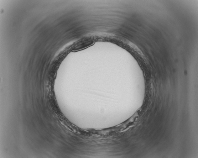 X0000086000872200704201829