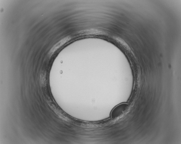 X0000086000873200704201829