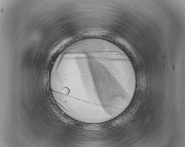 X0000086000874200704201829