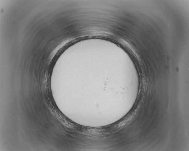 X0000086000875200704201829