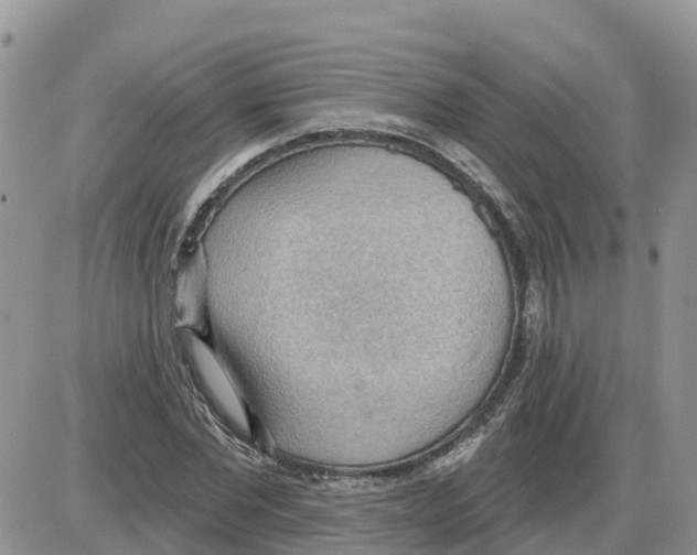 X0000086000877200704201829