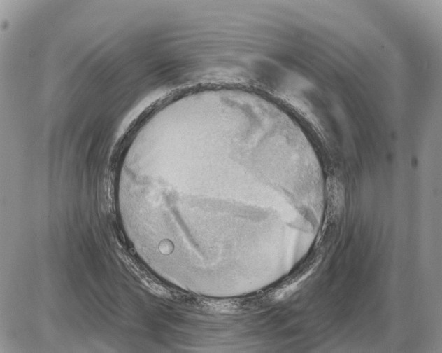 X0000086000878200704201829