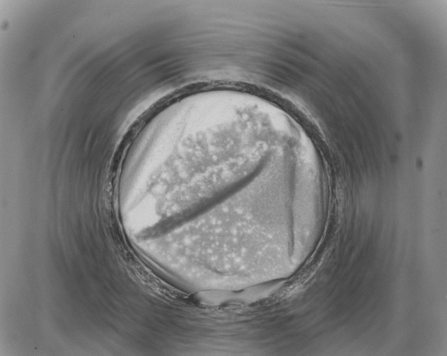 X0000086000879200704201829