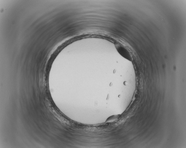 X0000086000880200704201829