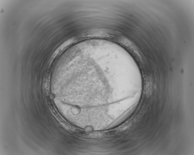 X0000086000882200704201829