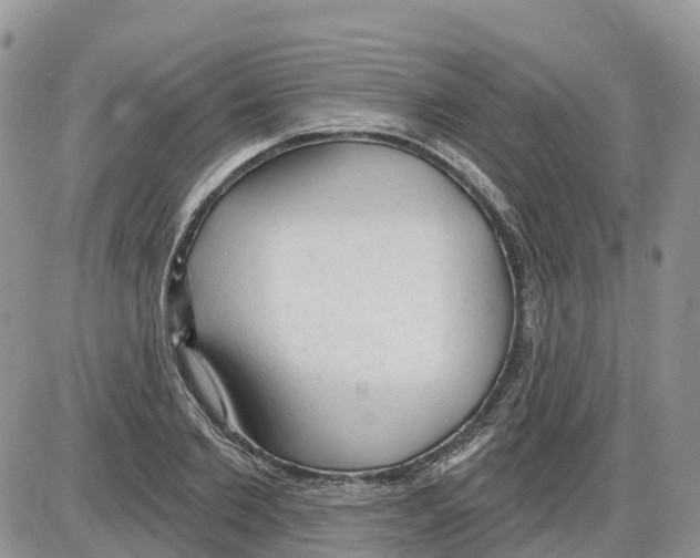 X0000086000885200704201828