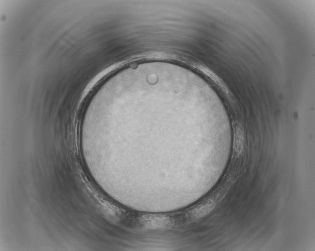 X0000086000886200704201828