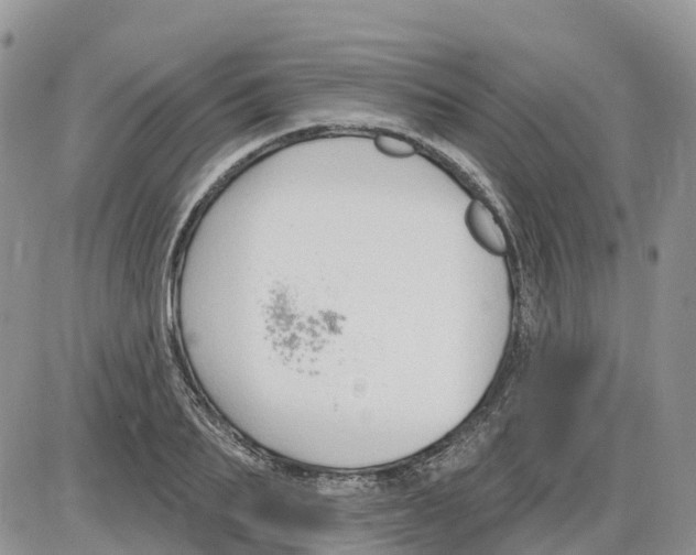 X0000086000887200704201828