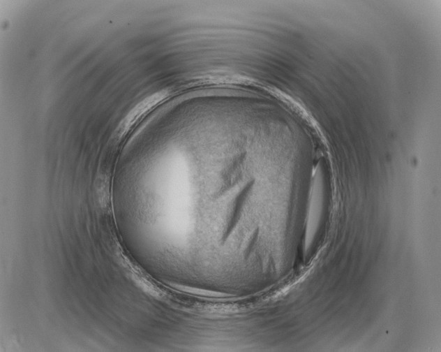 X0000086000889200704201828