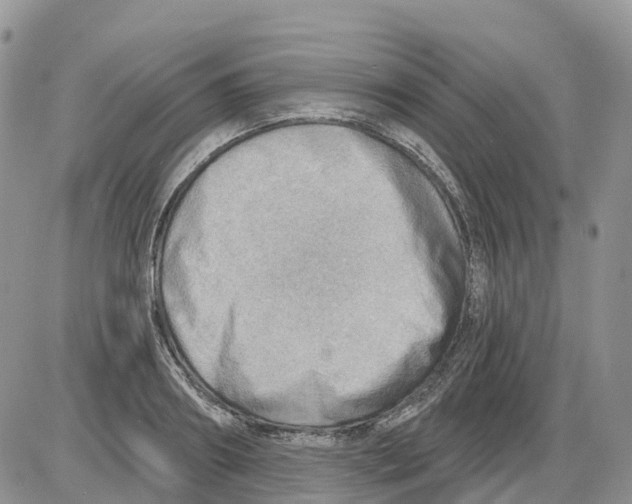 X0000086000890200704201828