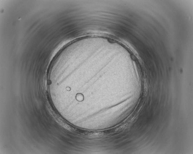 X0000086000891200704201828