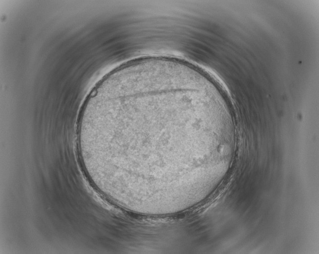 X0000086000895200704201828