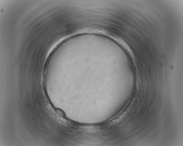 X0000086000896200704201828