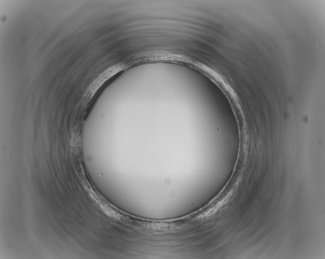 X0000086000897200704201828