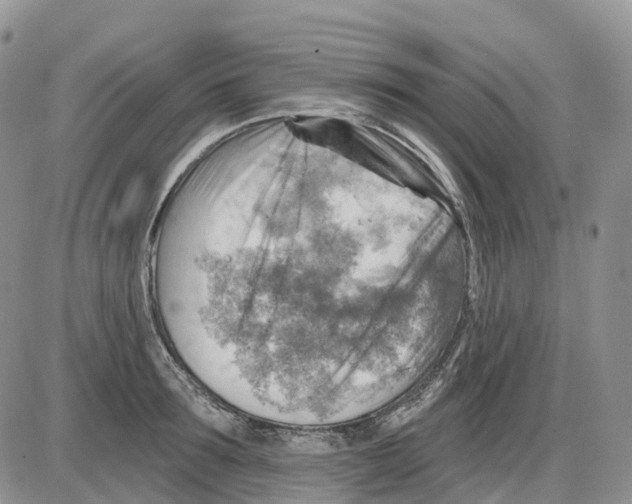 X0000086000899200704201828