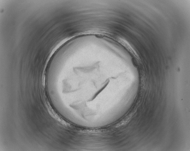 X0000086000900200704201828