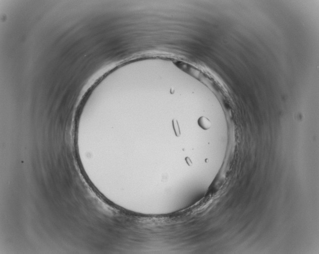 X0000086000902200704201828