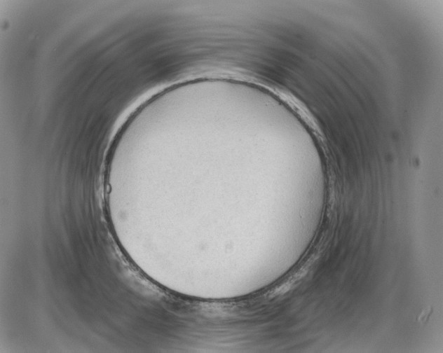 X0000086000904200704201828