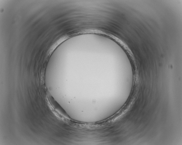 X0000086000905200704201828