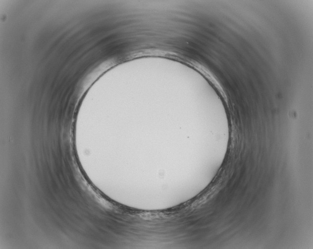 X0000086000906200704201828