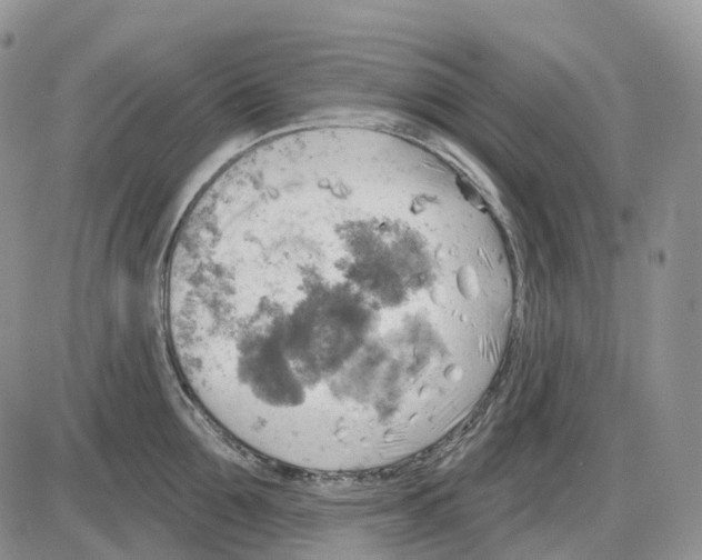 X0000086000907200704201828