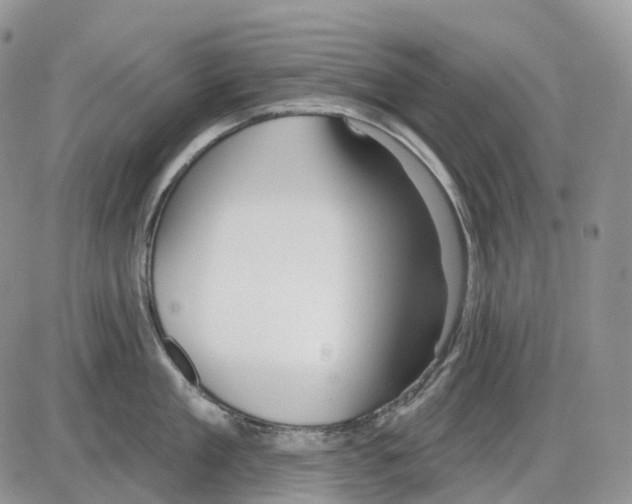 X0000086000909200704201828