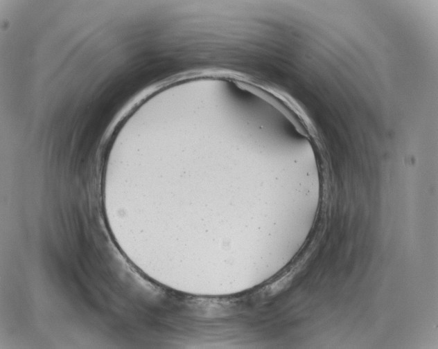 X0000086000910200704201828