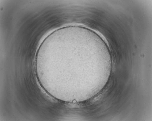 X0000086000911200704201828