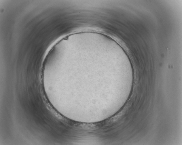 X0000086000912200704201828