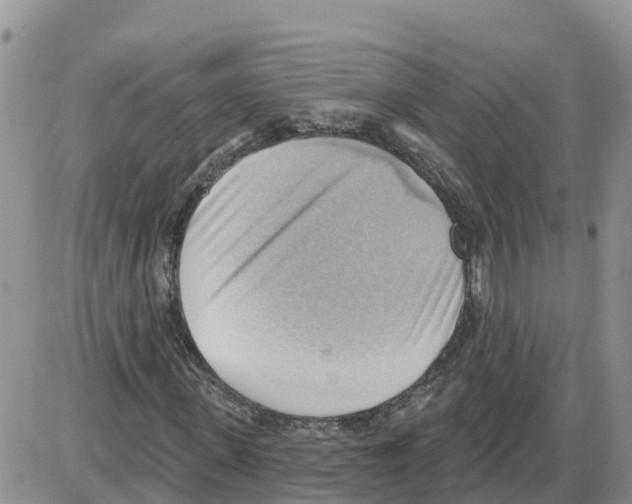 X0000086000915200704201827