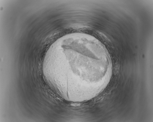 X0000086000917200704201827