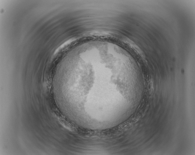 X0000086000920200704201827