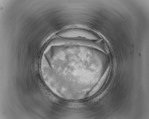 X0000086000921200704201827