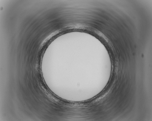 X0000086000922200704201827