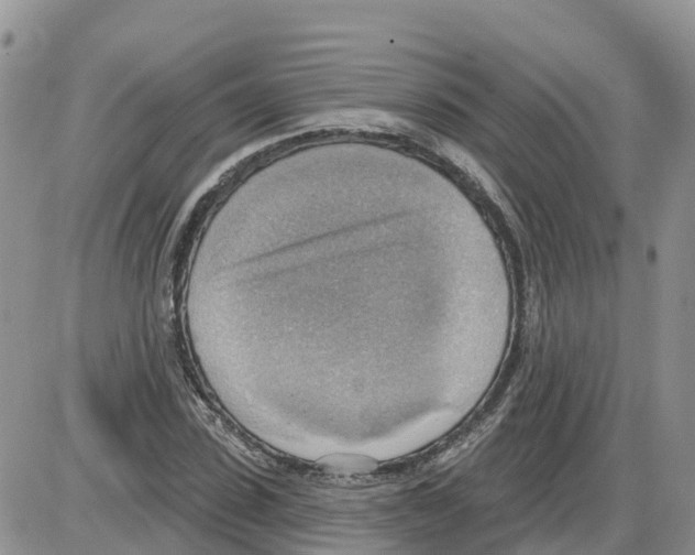 X0000086000923200704201827