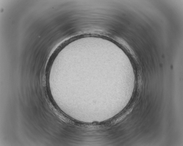 X0000086000924200704201827