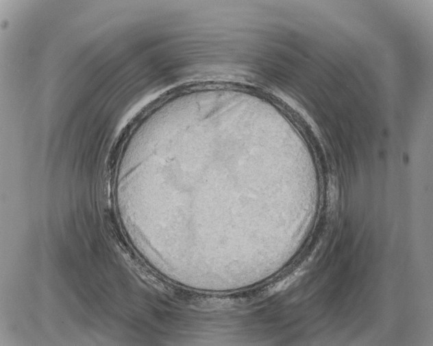 X0000086000925200704201827