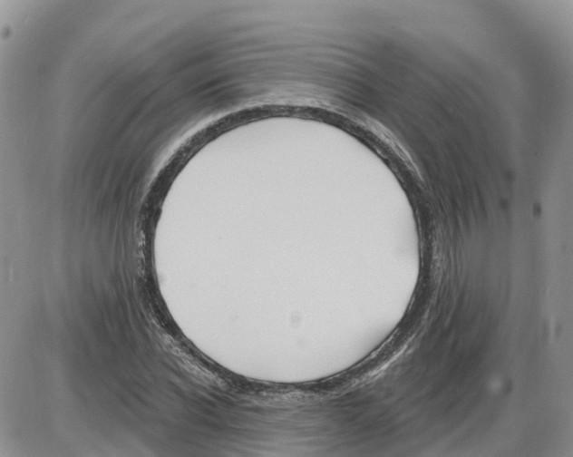 X0000086000926200704201827